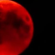 The Blood Moon -The Transformation Of Reality Copyright 2025 Celenia Mack. The Blood Moon - The Art Of Manifestation Manifesting The Right Way by Celenia Mack